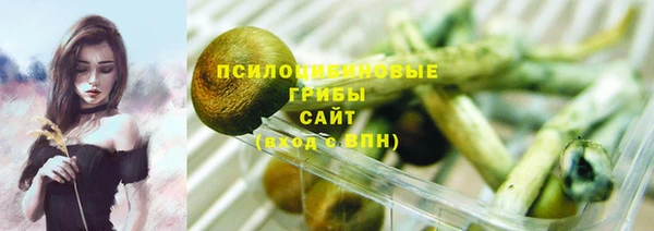 PSILOCYBIN Арсеньев