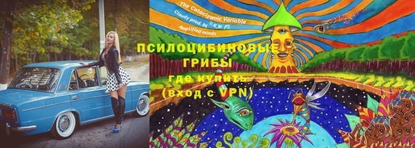 ГАЛЛЮЦИНОГЕННЫЕ ГРИБЫ Армянск