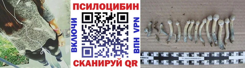 Галлюциногенные грибы мухоморы Тарко-Сале
