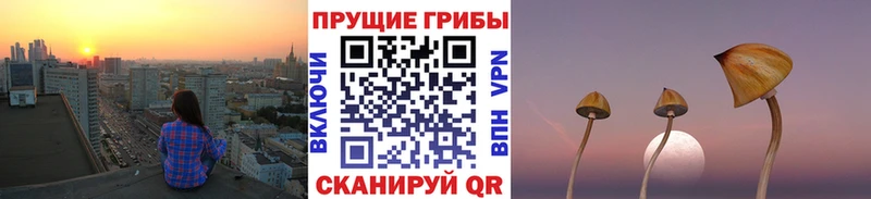 Галлюциногенные грибы мухоморы Тарко-Сале